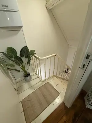a staircase with a potted plant in a room at Antwerpen duplex apartment in Antwerp