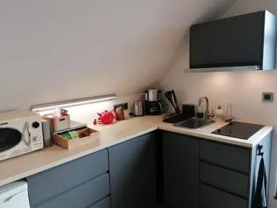 a kitchen with a sink and a microwave at Meerdael Refuge Appartement in Oud-Heverlee