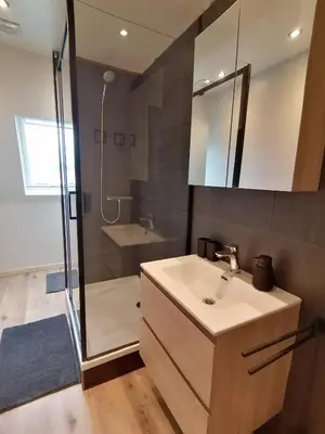 a bathroom with a sink and a shower at Meerdael Refuge Appartement in Oud-Heverlee
