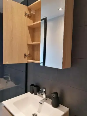 a bathroom with a sink and a mirror at Meerdael Refuge Appartement in Oud-Heverlee