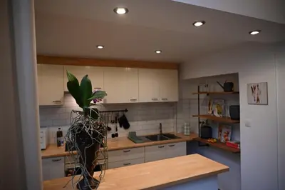 a kitchen with a potted plant on a counter at P60 Character & Comfort in 1000 Brussels in Brussels
