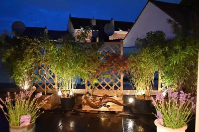 a group of potted plants inront of a fence at Vintage Soul, Green Vibes, Heart of the City in Brussels