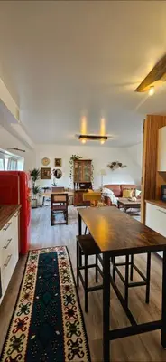 a kitchen and living room with a wooden table at Vintage Soul, Green Vibes, Heart of the City in Brussels