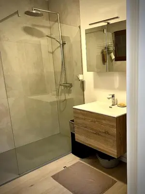 a bathroom with a shower and a sink at Modern 2-Bed Urban Apartment in Brussels