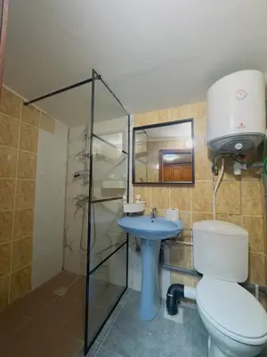 a bathroom with a toilet and a sink and a shower at The Brussels Nest in Brussels