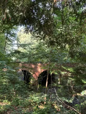 a tunnel in the middle of a forest with trees at Logies Het Koetshuis in Herentals