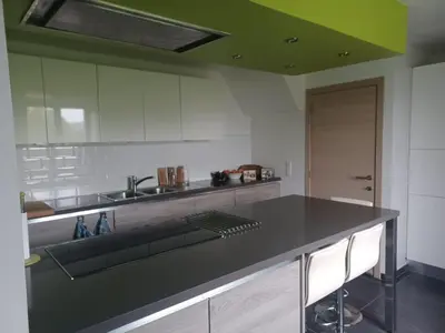 a kitchen with a black counter and a green ceiling at Peaceful Countryside Escape for Leisure or Work, Near Brussels in Dilbeek