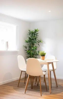 a table and chairs in a room with a plant at Studio in Brussels in Brussels