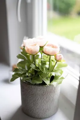 a vase filled with pink roses in a window at Studio in Brussels in Brussels