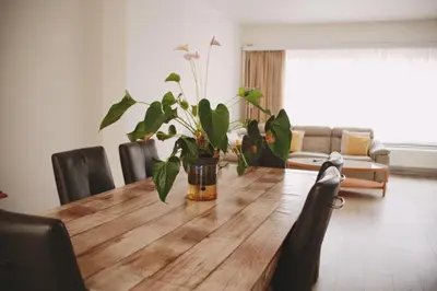 a dining room table with a vase with plants on it at Tumaini House in Antwerp