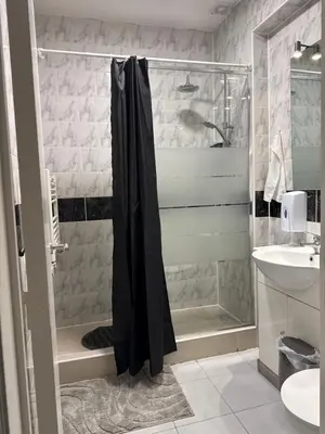 a bathroom with a shower and a sink at Royal sleeping Brussels in Brussels