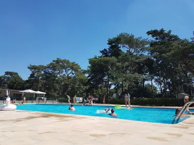 a group of people swimming in a swimming pool at Chalet Balen in Balen