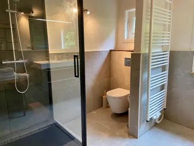 a bathroom with a shower and a toilet at Romantic BNB, Castle-Nature Walks, Sauna, Garden in Schilde