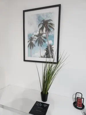 a picture of palm trees on a white wall with a plant at Mila's Cosy Place in Boortmeerbeek