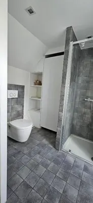 a bathroom with a shower and a tub and a toilet at Wonderful Brussels in Uccle in Brussels