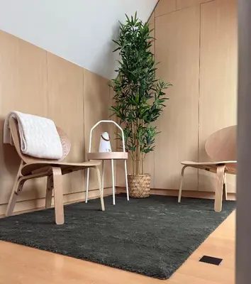 a room with two chairs and a potted plant at Appartement historisch centrum Antwerpen in Antwerp