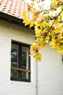 a tree with yellow leaves in front of a building at Le Paddock by Ernesst in Lubbeek