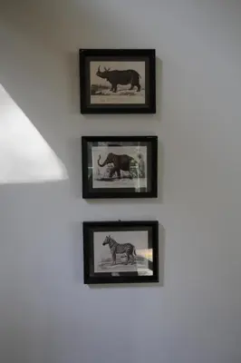 four framed pictures of animals on a wall at Casa Terlinden in Brussels