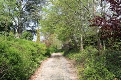 a dirt road in the middle of a forest at Casa Terlinden in Brussels