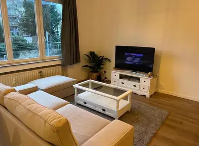 a living room with a couch and a flat screen tv at Beautiful and Cosy Flat in Etterbeek in Brussels