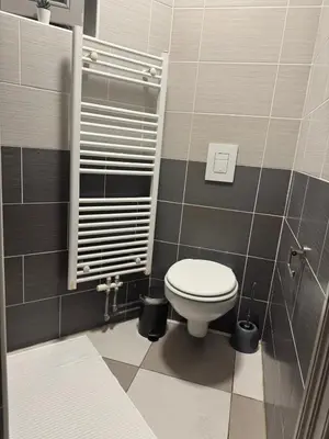 a bathroom with a white toilet and black tiles at La Perla Appartements Louise in Brussels