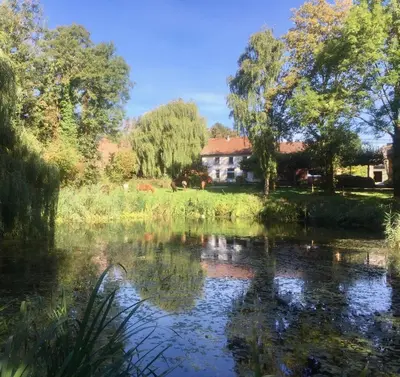a house on the side of a river with trees at Aan de Jordaan in Boutersem