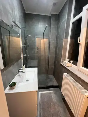 a bathroom with a sink and a shower at A little love nest in Brussels