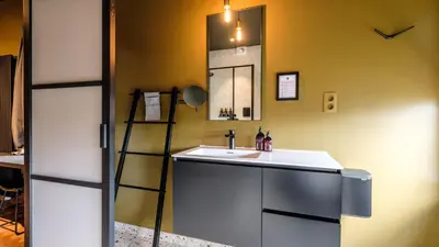 a bathroom with a sink and a mirror at Porta Superia Boutique B&B in Mechelen
