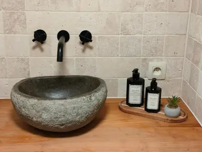 a bathroom with a stone sink and two bottles of soap at Het Karperhuisje in Geel