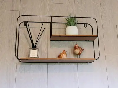 a shelf with a potted plant and two chickens on it at Het Karperhuisje in Geel
