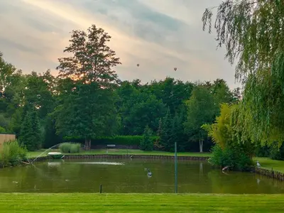 a pond with a group of birds in a park at Het Karperhuisje in Geel