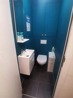 a blue bathroom with a toilet and a sink at collocation en metro erasme in Brussels