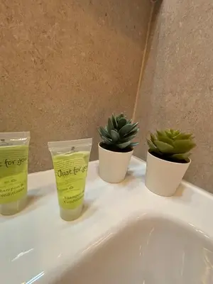 four plants sitting on top of a white sink at Luxury 1 Bedroom Apartment with Sofa Bed & Balconies Prime Location near ING Arena, Expo 12 & Atomium in Wemmel