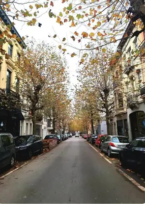 an empty street with trees and parked cars at La Suite Eleonore in Brussels