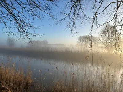 a misty lake with trees in the middle of it at B&Biotope in Heusden