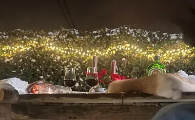 a table with three glasses of wine and lights at Guesthouse Eekhoorn 16 in Kasterlee