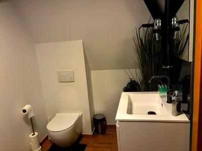 a bathroom with a white toilet and a sink at Family Heritage Grand Place in Brussels