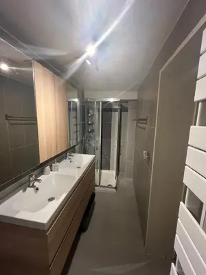 a bathroom with a sink and a mirror and a shower at Midi Tracks Apartment in Brussels