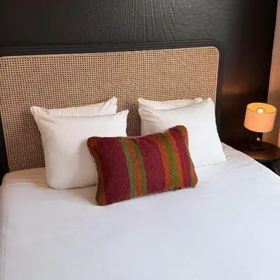 Cosy 2-Room Apartment for 4 Guests near Gent Sint-Pieters Station