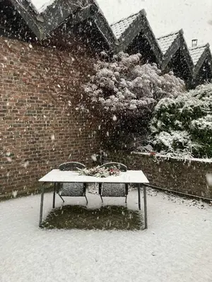 a bench in the snow next to a brick wall at Cozy house in Olmen in Balen