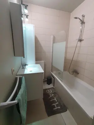 a bathroom with a sink and a bath tub at Laaglandlaan 1 in Antwerp