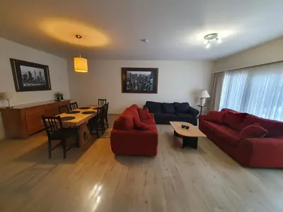 a living room with a couch and a table at Laaglandlaan 1 in Antwerp