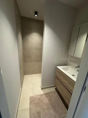 a small bathroom with a sink and a shower at Maison frère in Berlare