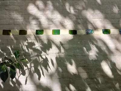 a shadow of a plant on a white wall at De Steeg in Kalmthout