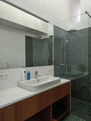 a bathroom with a sink and a shower at De Steeg in Kalmthout