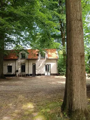 a white house with a tree in front of it at De Steeg in Kalmthout