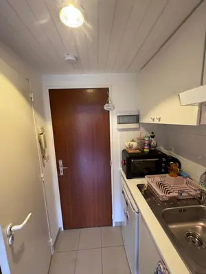 a kitchen with a sink and a brown door at Studio Blueberry in Brussels