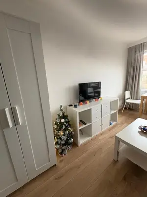 a living room with a christmas tree and a television at Studio Blueberry in Brussels