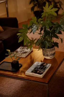 a coffee table with two potted plants and a magazine at A Place - Boutique Hotel - Meir 24 in Antwerp