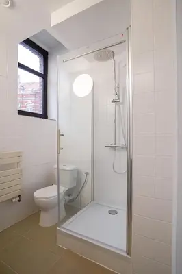 a bathroom with a shower and a toilet at Cinquantenaire 1 in Brussels